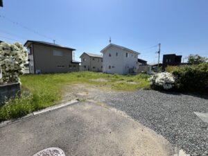 IMG_5305